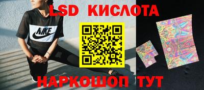Альфа ПВП Владикавказ