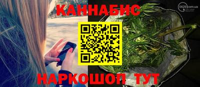 индика Владимир