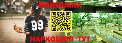 Альфа ПВП Владикавказ