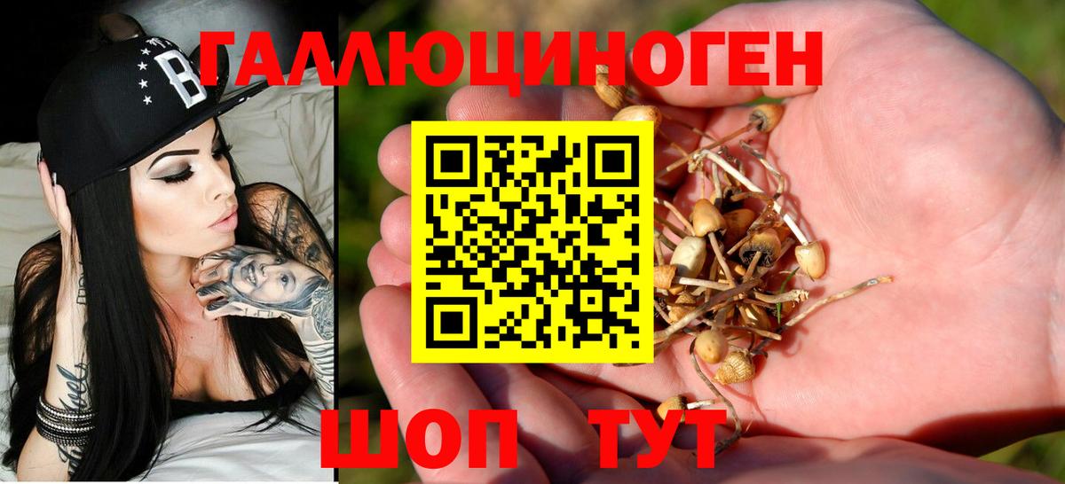Галлюциногенные грибы мухоморы  Вход с VPN  закладка  Анжеро-Судженск  Псилоцибиновые грибы мухоморы 