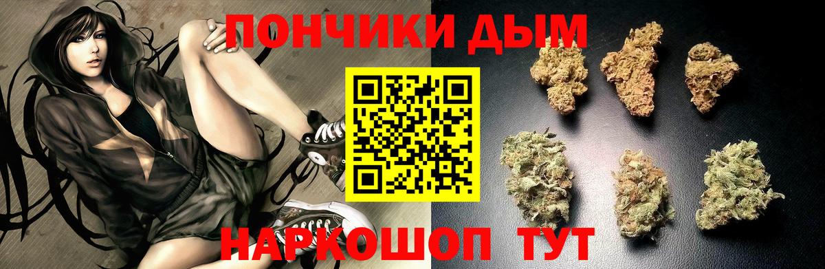 Марихуана Amnesia  Бошки Шишки тримм  Вход с VPN  Анжеро-Судженск  Бошки марихуана конопля 